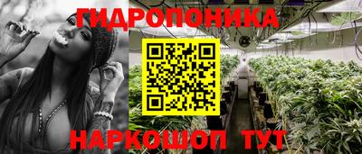 стаф Чебоксары