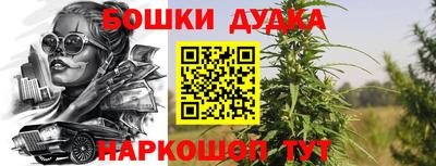 стаф Чебоксары