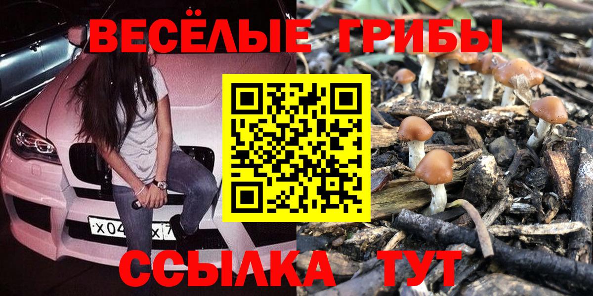 Псилоцибиновые грибы прущие грибы Борисоглебск