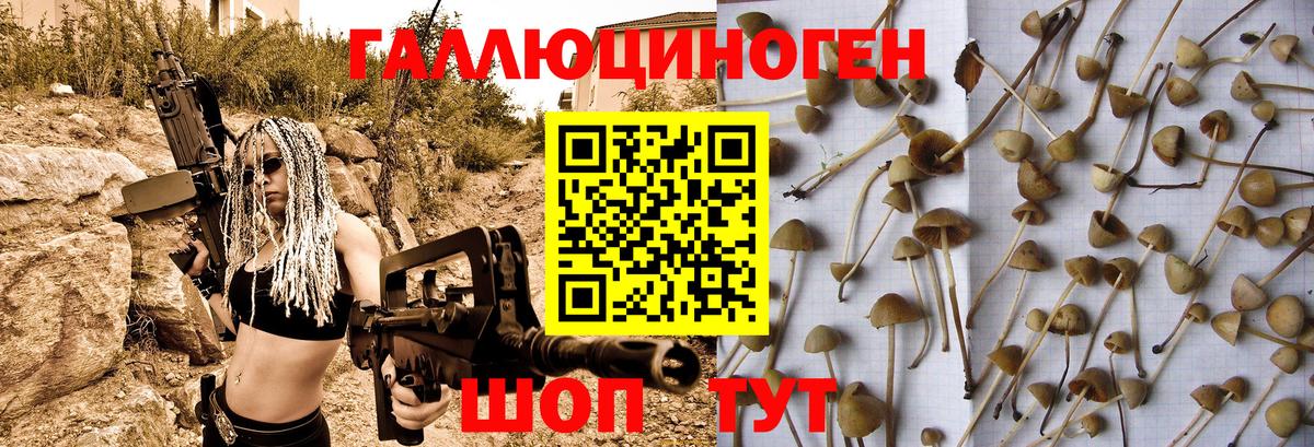 Псилоцибиновые грибы Psilocybine cubensis  Вход с VPN  Борисоглебск 